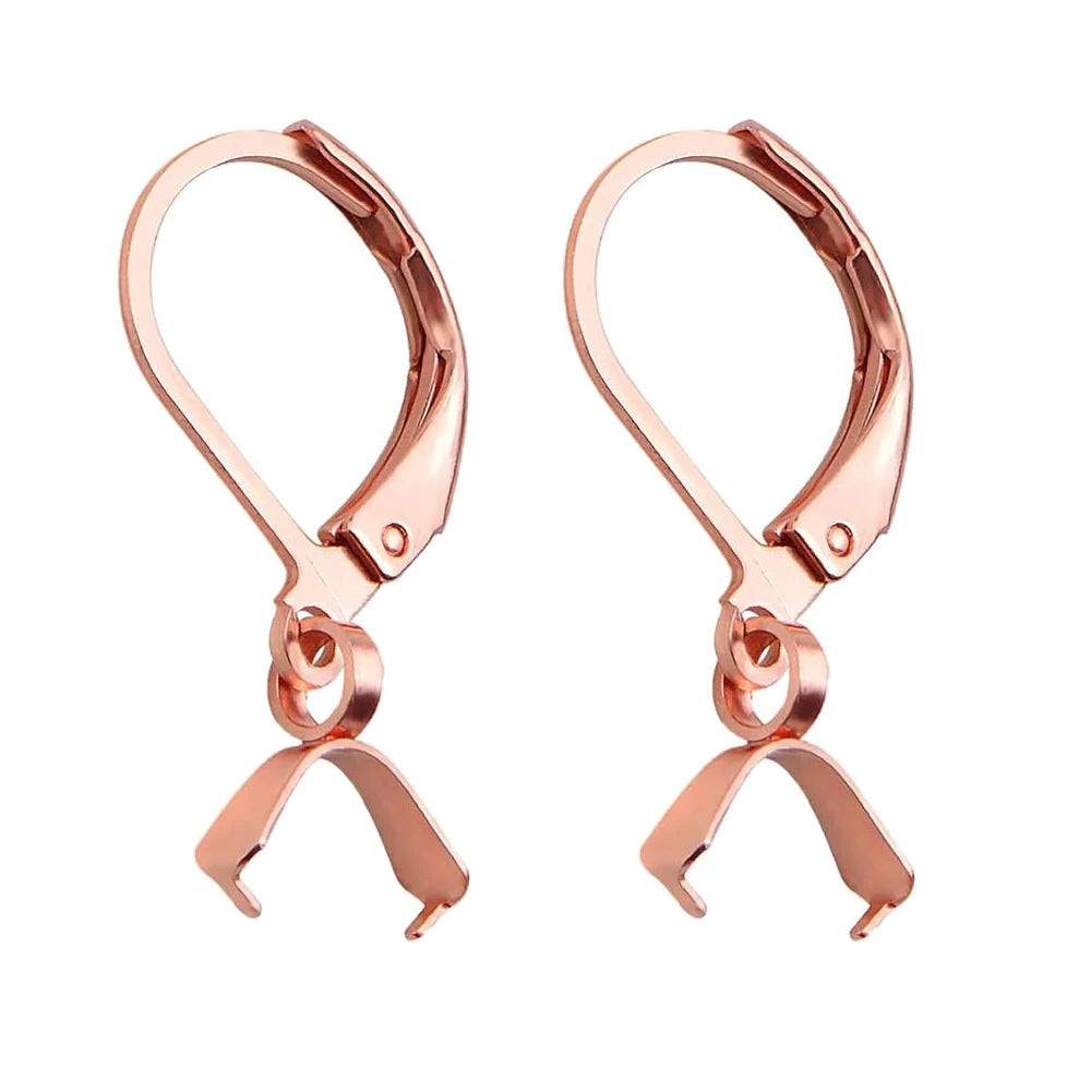 10/20Pcs Stainless Steel Dangle French Earring Wire Hook Earwire Pendant Clasp Ear Buckle Findings DIY Jewelry Making Supplies